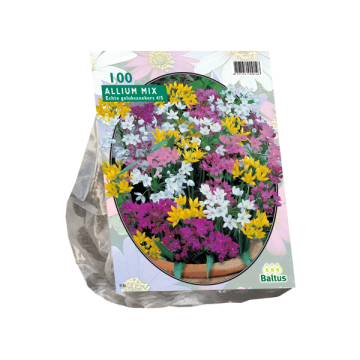 Allium Mix per 100