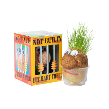 Mr. Bart | Graspop | Graspoppetje | Grow your own gras | wie kent hem niet | Vensterbank | Graszaad | Cadeau |