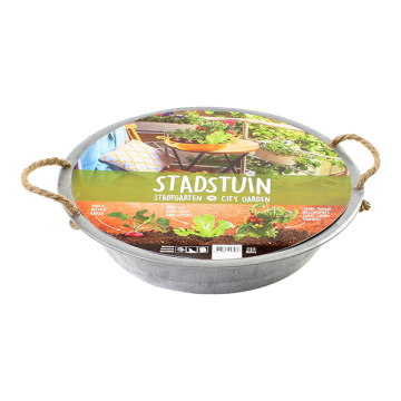 Teiltje Stadstuin per 1