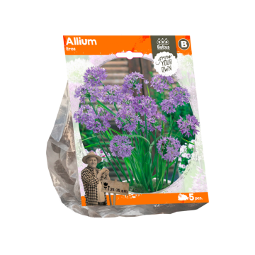 Allium Eros (Sp) per 5