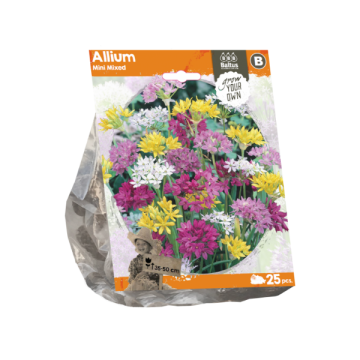 Allium Mini Mixed (Sp) per 25