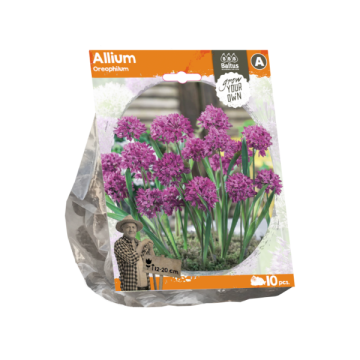 Allium Oreophilum (Sp) per 10