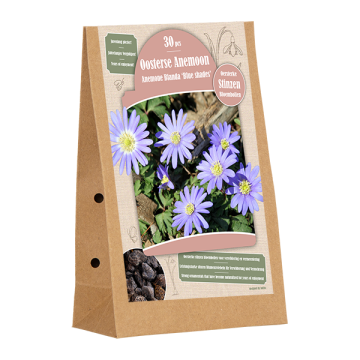 Anemone Blanda Blue Shades per 30