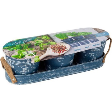 Herb Festival - 3 (Jeans)