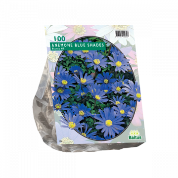 Anemone Blanda, Blauw per 100