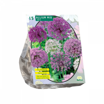 Allium Mix Paars-Wit per 15